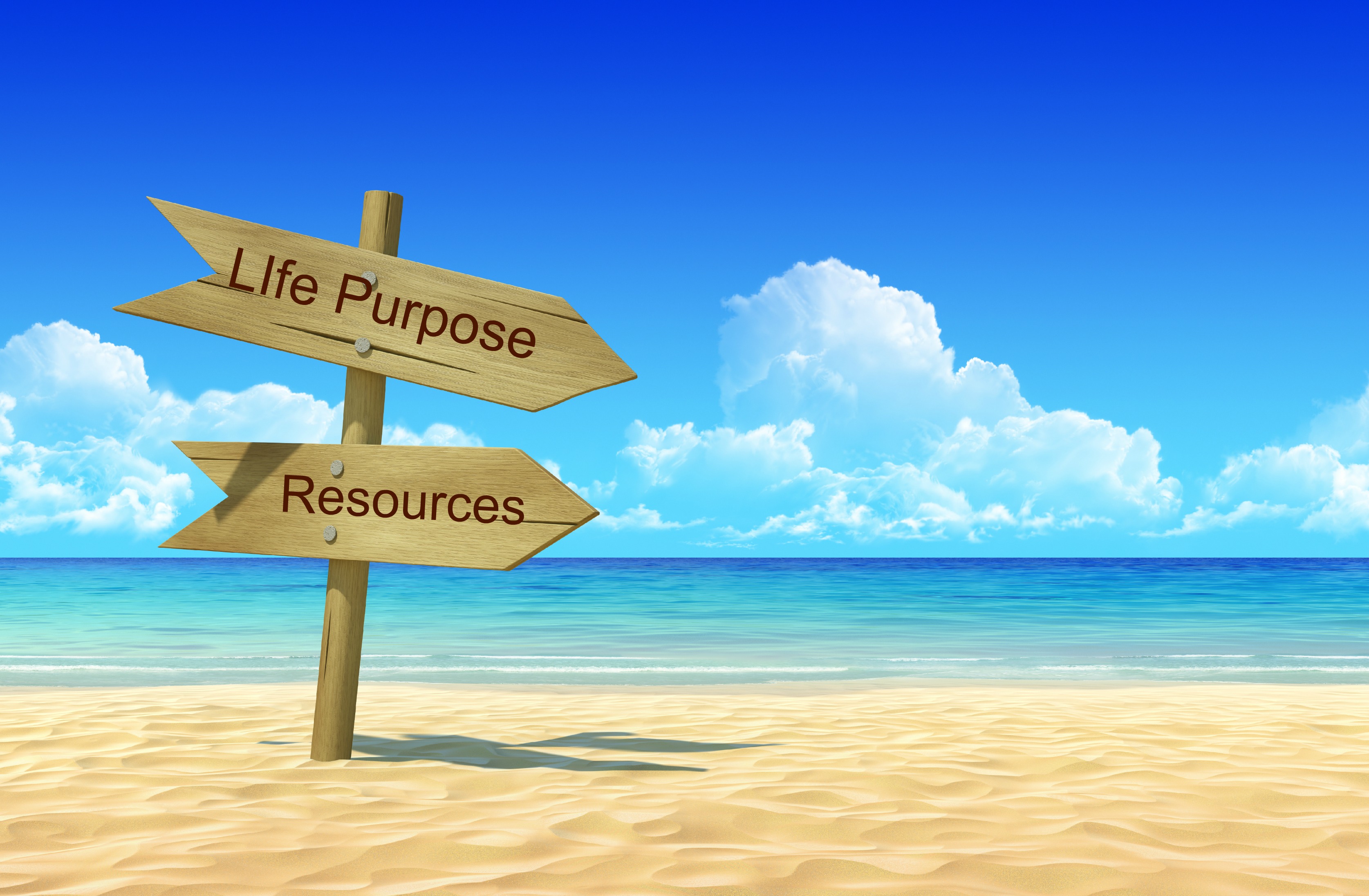 PURPOSE IN LIFE